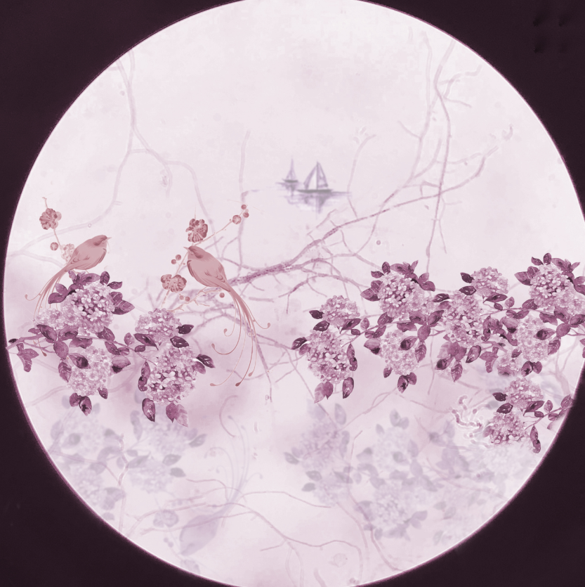 q16.png q16.png